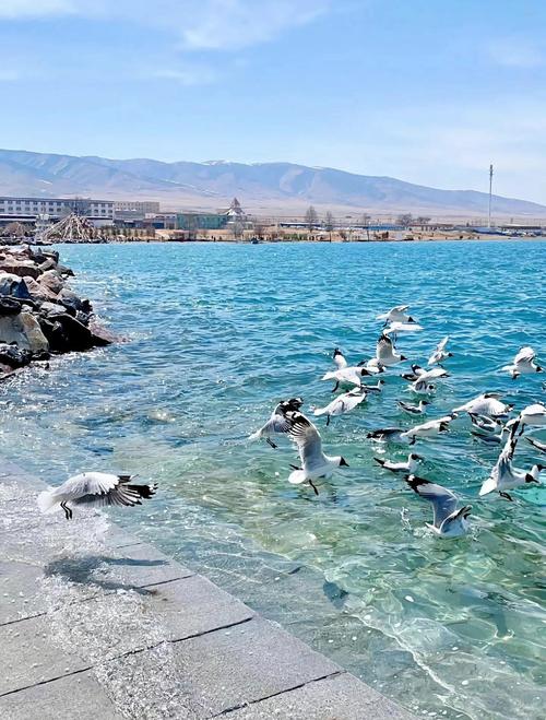 什么时候去青海金银滩景区旅游比较好?