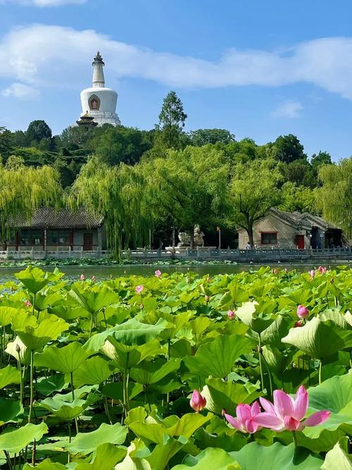 北京这些地方随手一拍,都能美翻你的朋友圈!