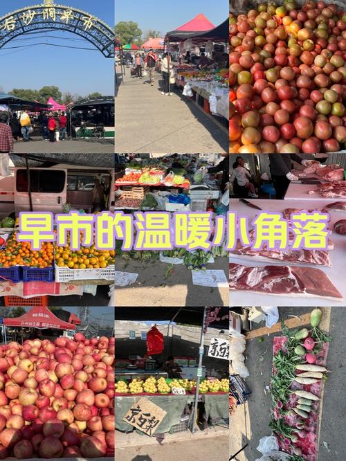 昌平区沙河便民服务中心上班时间