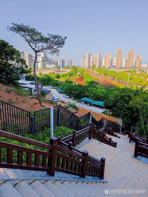 厦门适合周末带娃的地方