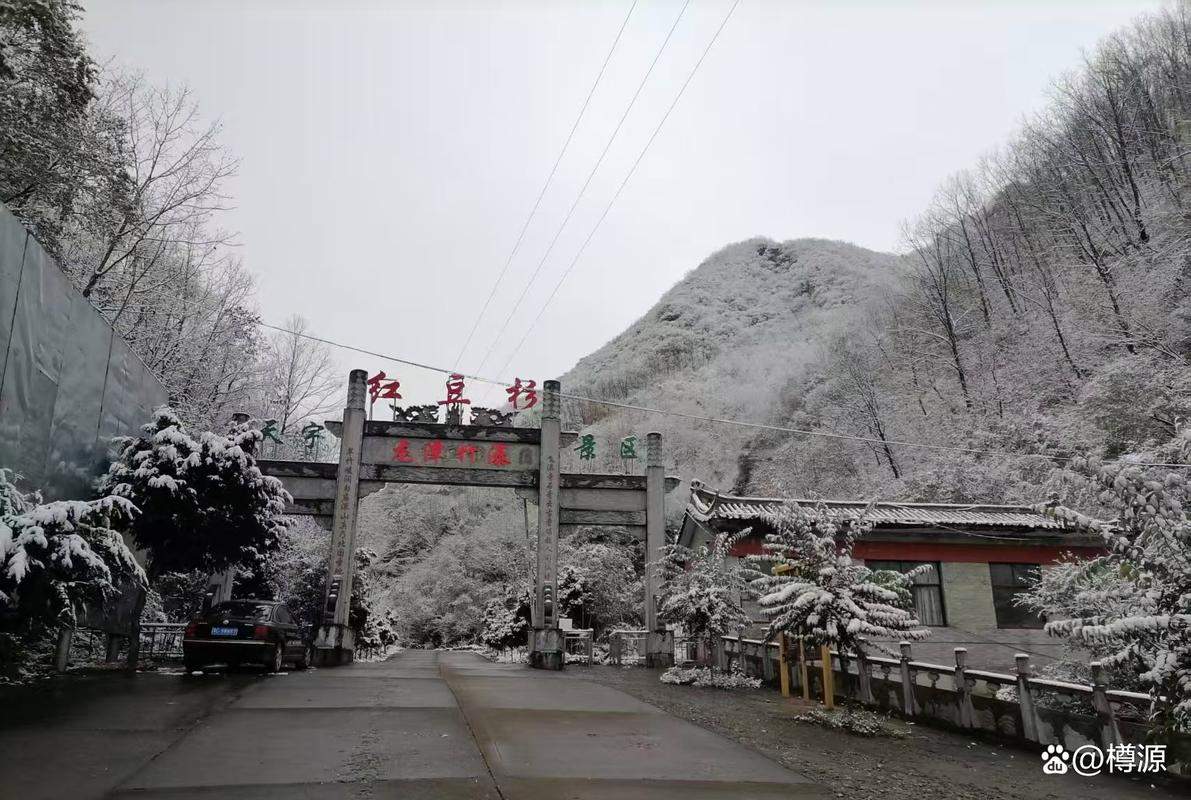 栾川红豆杉景区免门票
