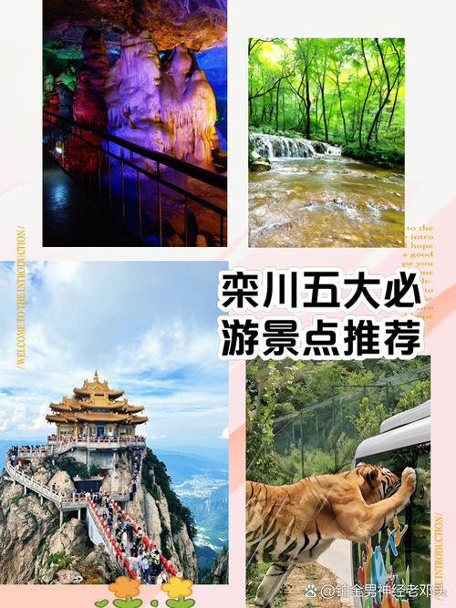 2024老君山免费门票优惠政策