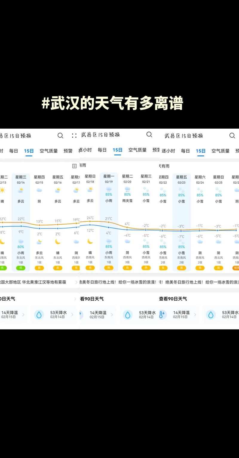 如何查询某个城市的15天天气预报情况?