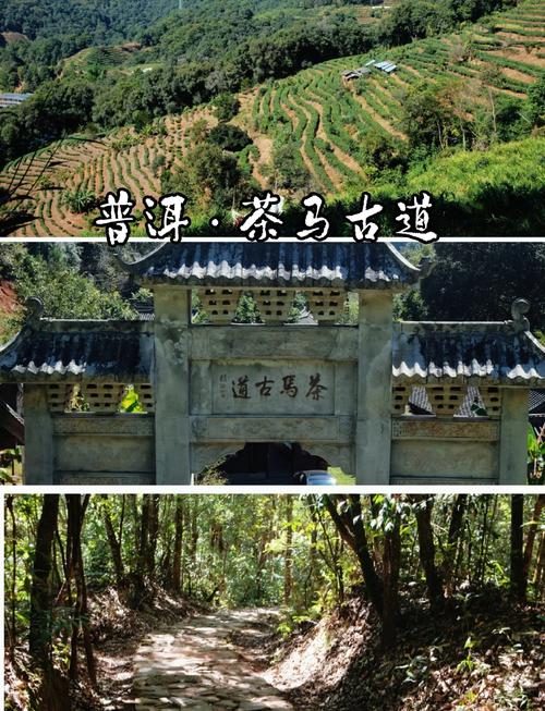 云南普洱旅游攻略必去景点推荐