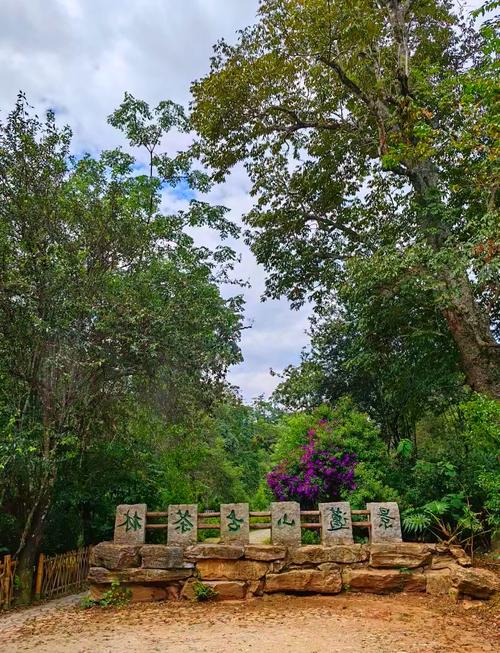 普洱市旅游攻略