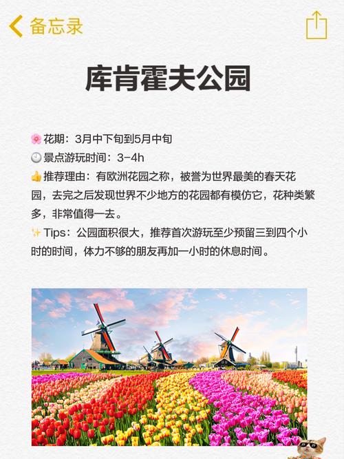 荷兰旅游出行攻略