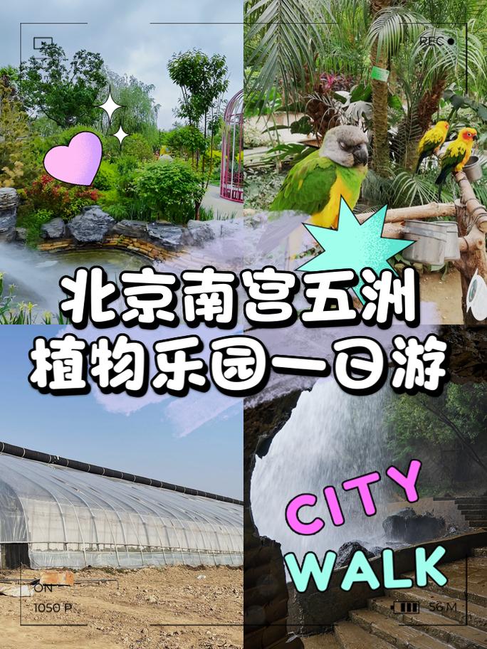 北京南宫五洲植物园门票开放时间游玩项目