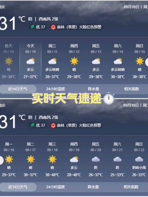 查看vi重庆十五天天气预报