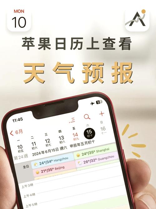 如何查看历史天气详情?