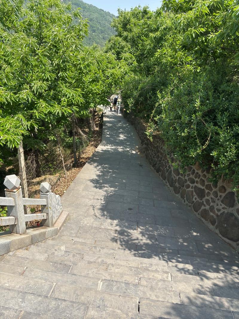 甚么季节去沂蒙山好