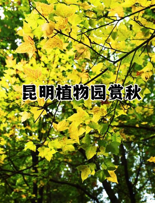 昆明旅游超全攻略昆明地铁沿线景点昆明游玩路线