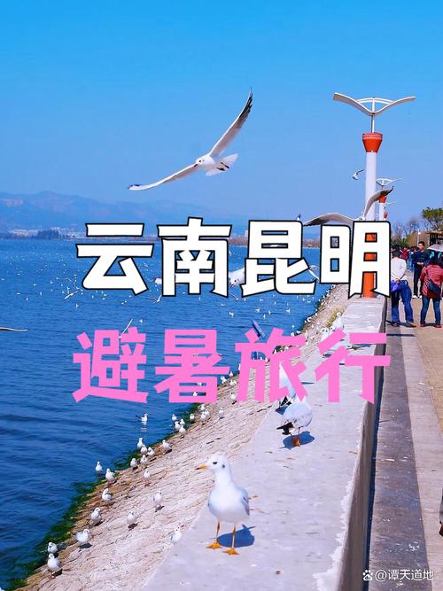 昆明长水机场附近景点旅行攻略,滇池到春城旅游景点