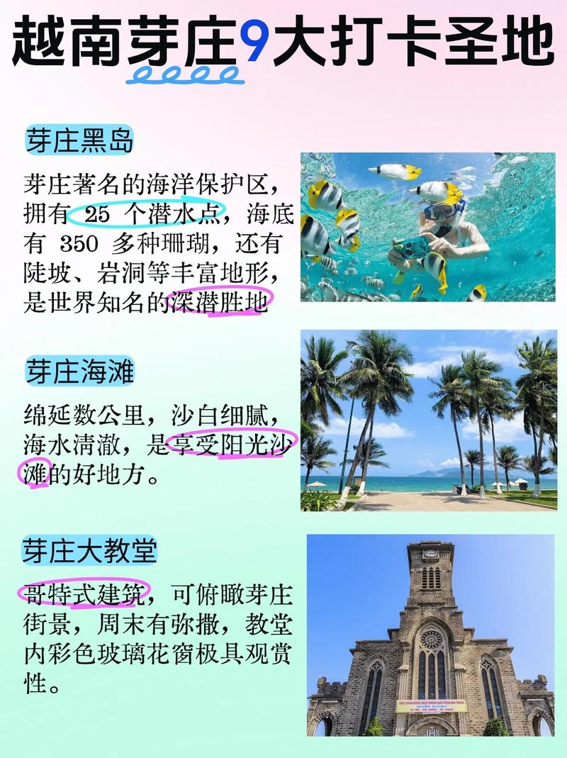 没有护照可以去越南旅游吗