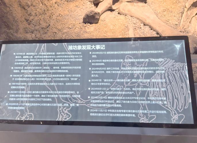 寿光水灾的三个人为因素是什么?