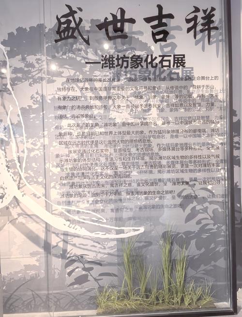 磐石天气预报磐石天气预报15天