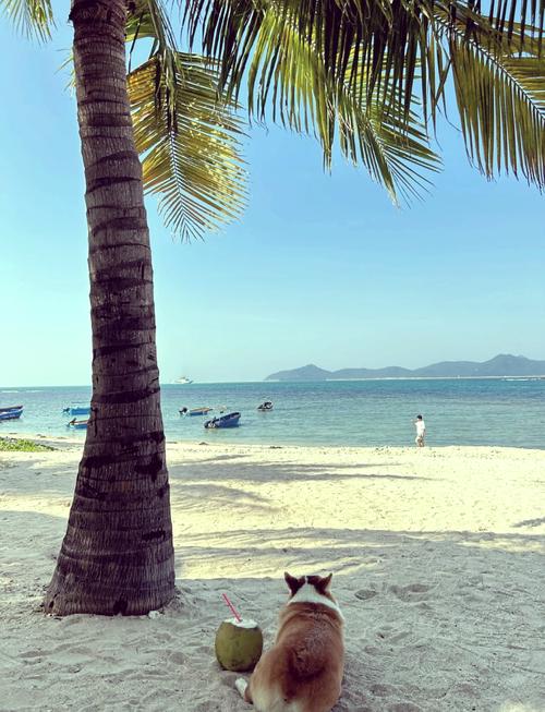 惠州海滩自驾游攻略