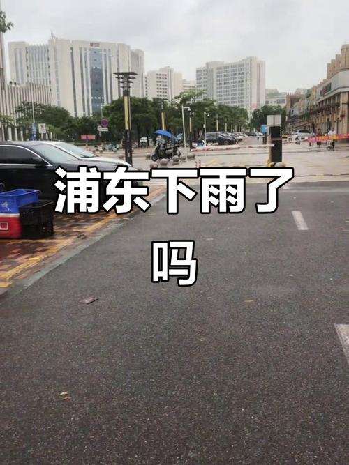 明天浦东新区天气如何