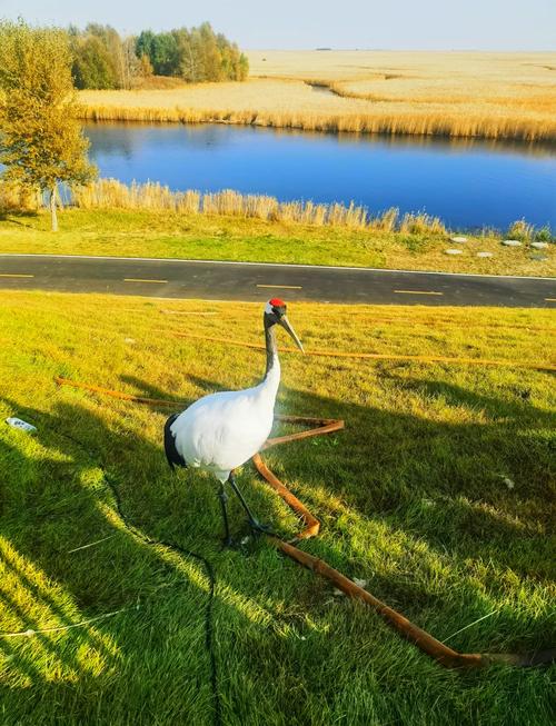 齐齐哈尔一日游必去景点