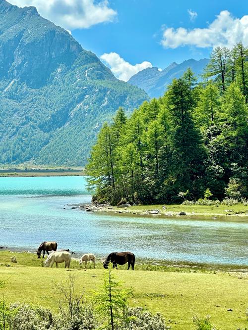 甘孜州哪个季节最适合旅游