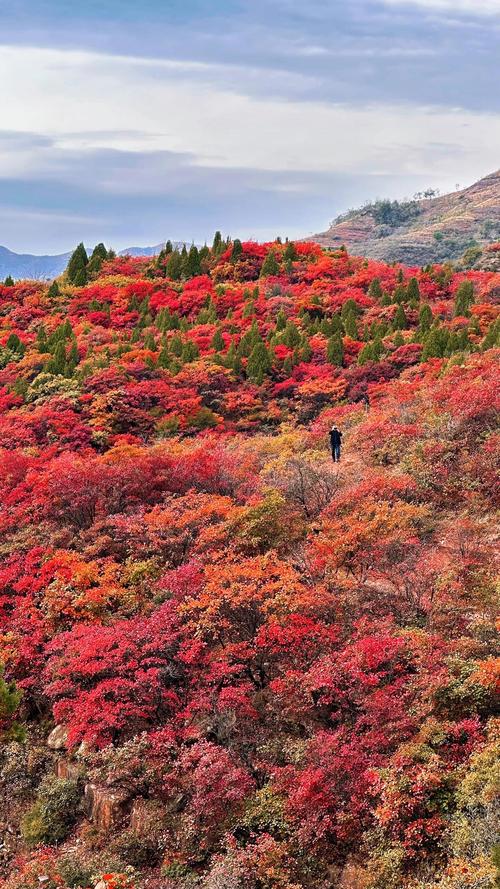 红叶谷是哪个地方的景点