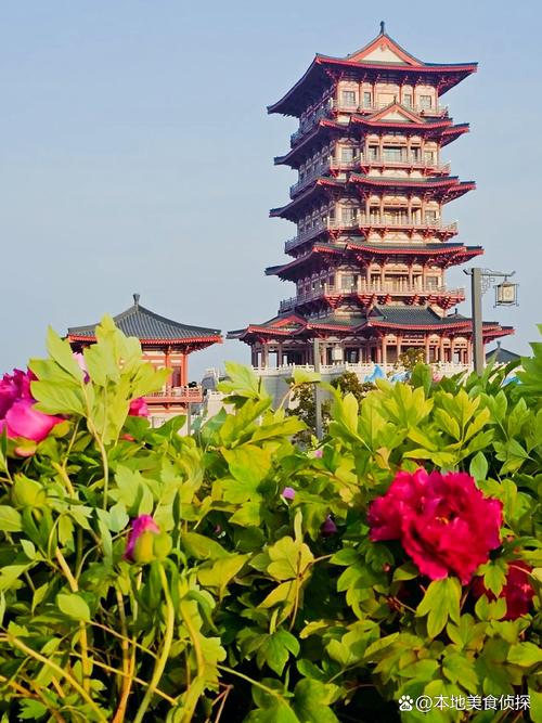 洛阳牡丹阁景区游玩攻略