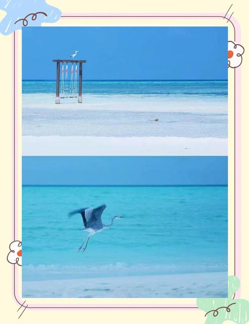 分享马尔代夫白金岛旅游住宿游玩攻略