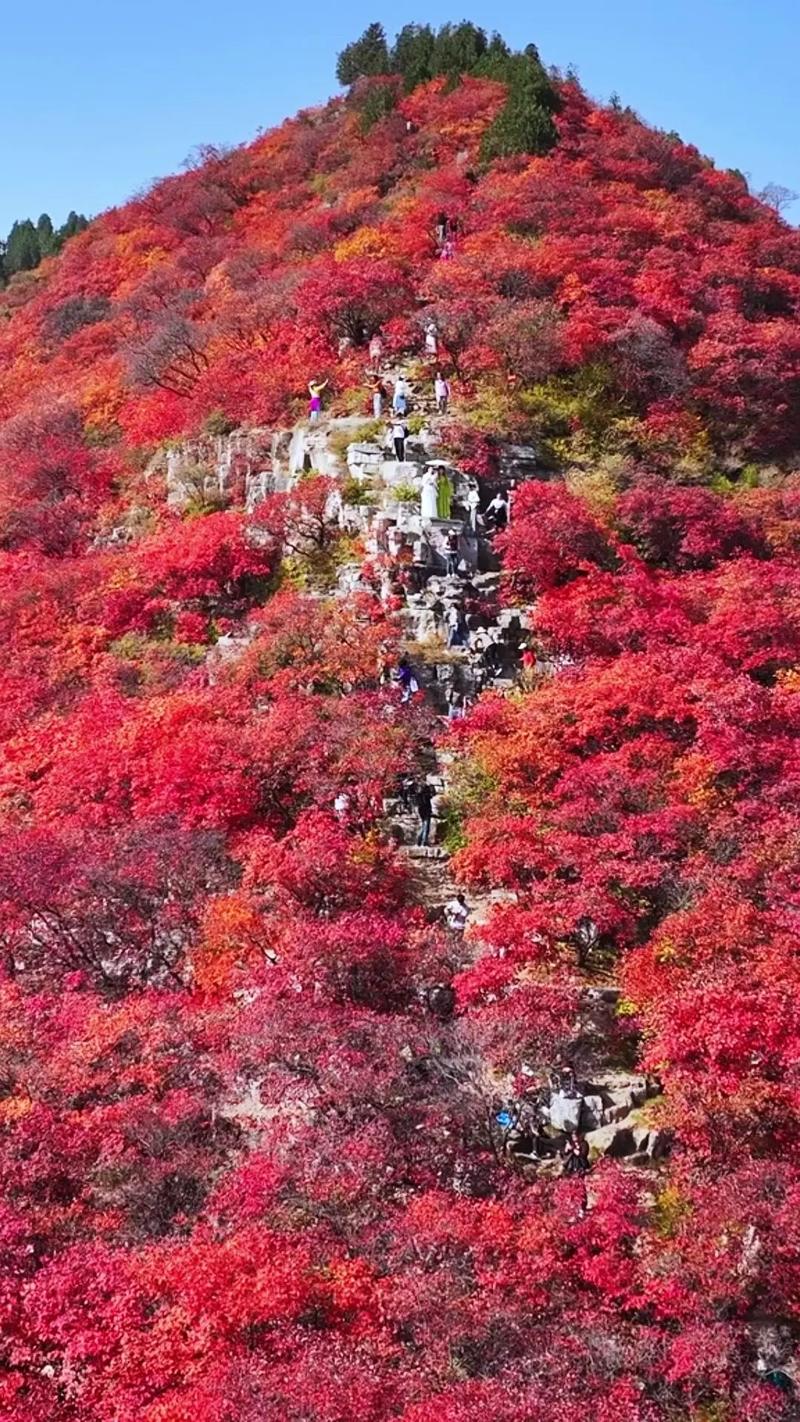 山东潍坊前十旅游景点