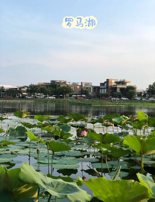 北京有没有晚上开放的景点