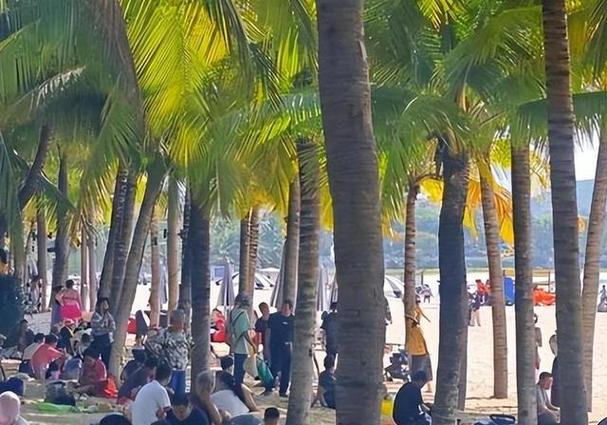 为什么越来越多的东北人选取离开三亚?这三点太现实了