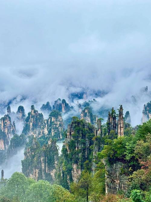 张家界主要景点有几个