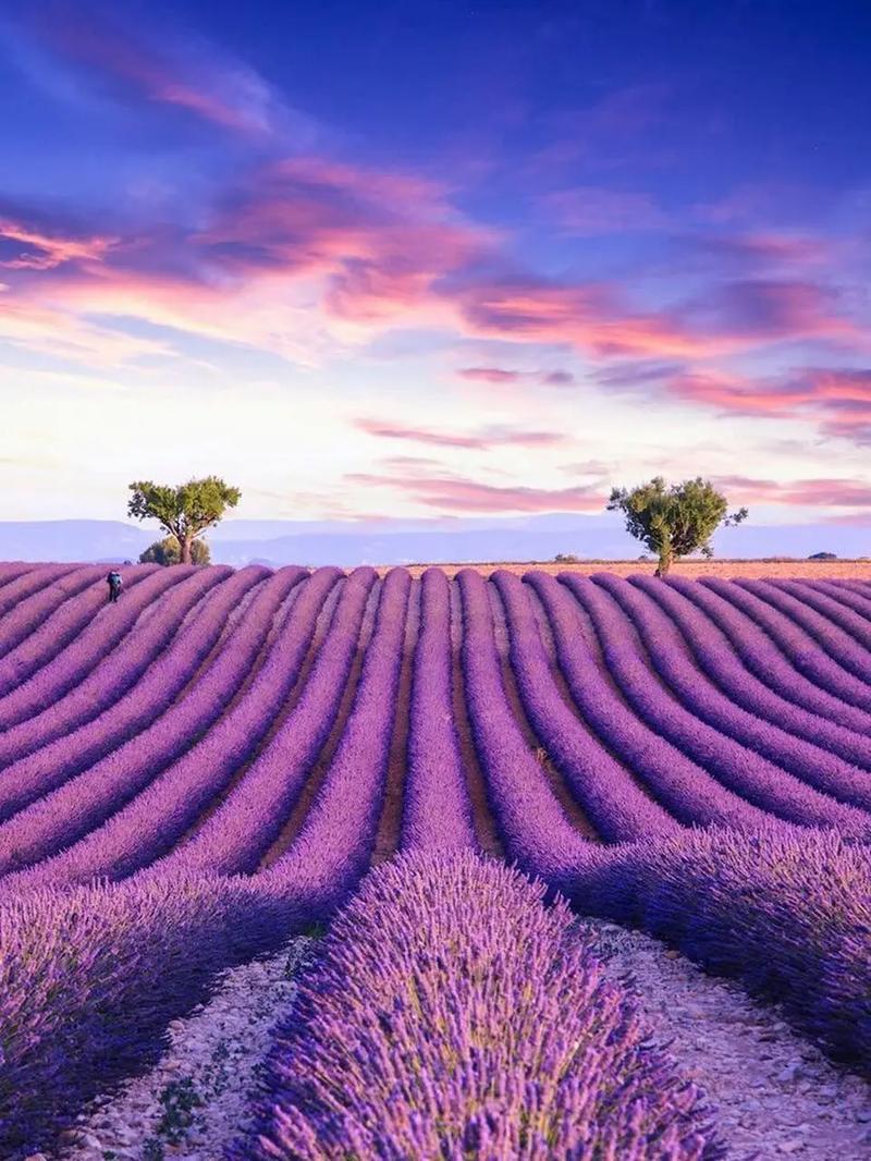 普罗旺斯的旅游季节性折扣有哪些?