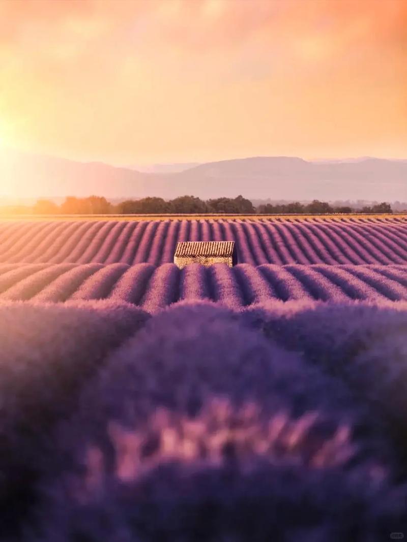 普罗旺斯最佳旅游季节,普罗旺斯几月份最美