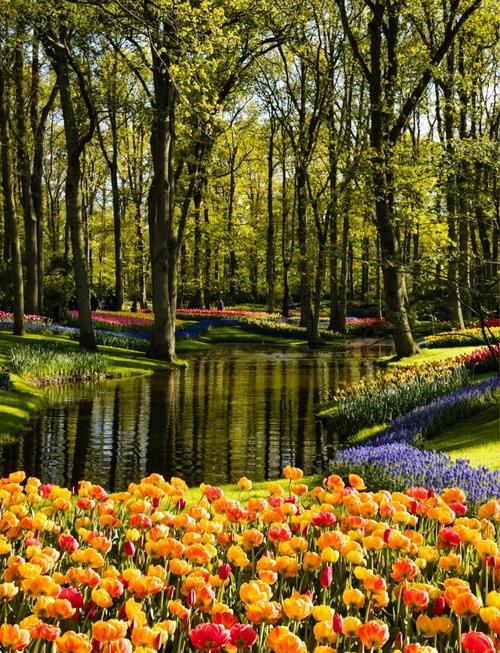 荷兰旅游必去前十景点