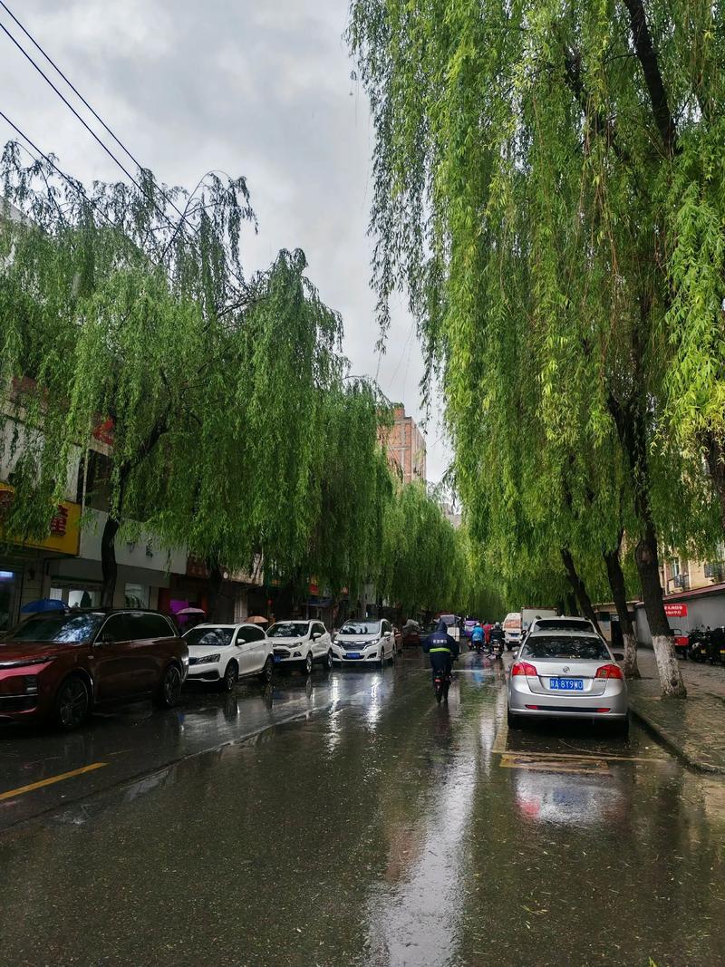 如何判断雨什么时候停