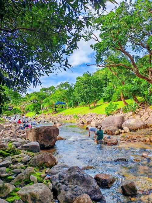 哪些城市的夏天凉快