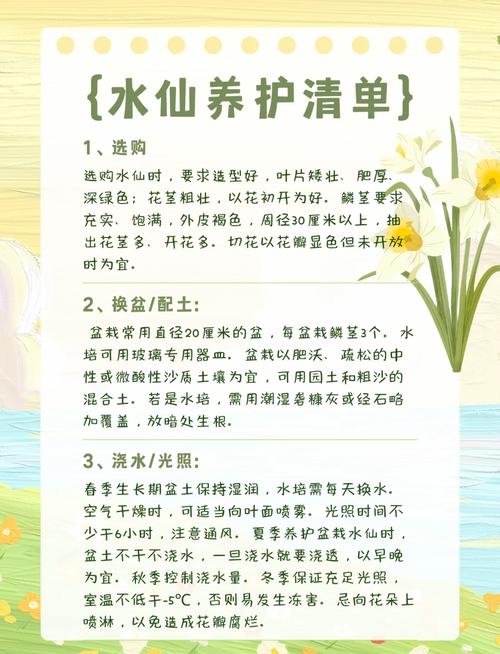 关于水仙花的知识