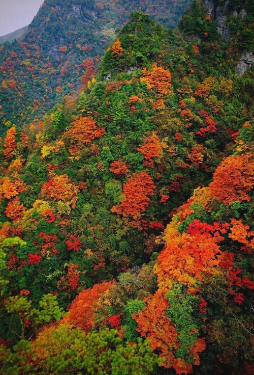 达州周边看红叶的地方有哪些