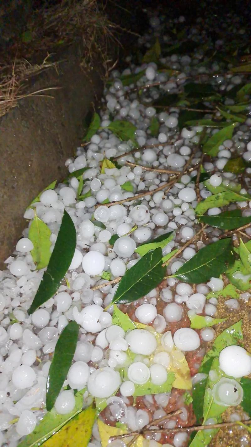 冰雹灾害钱有哪些预兆