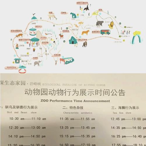 碧峰峡景区游玩路线