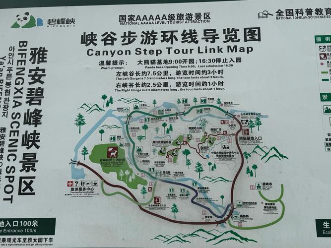 去雅安碧峰峡游玩应该如何安排名程?