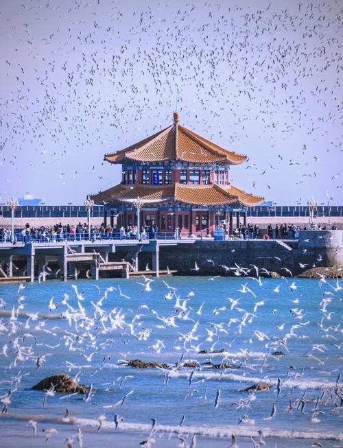 青岛最值得玩的免费景点