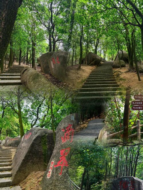 中山旅游攻略必去前十景点