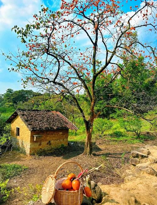 从化流溪河国家森林公园吃住攻略