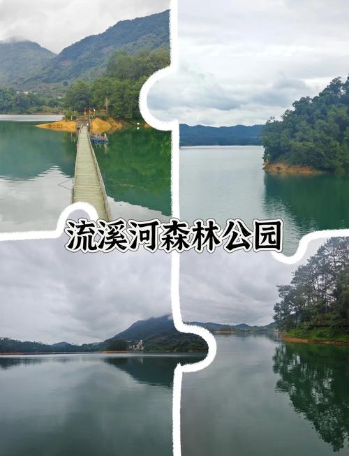 广州周边垂钓住宿一体的民宿