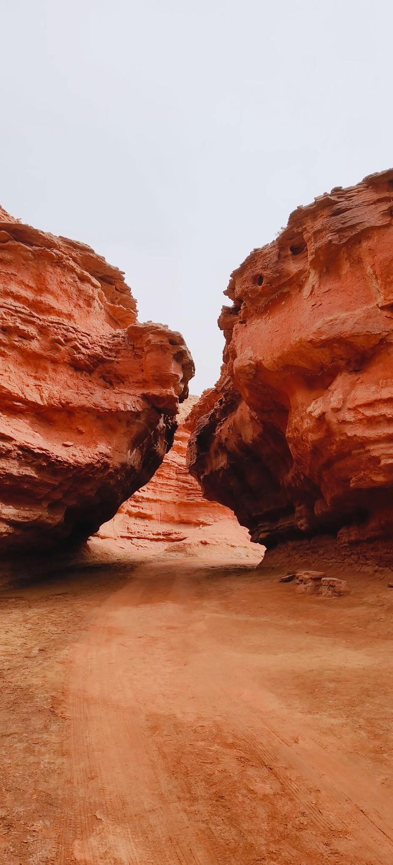 阿拉善盟前十著名景点