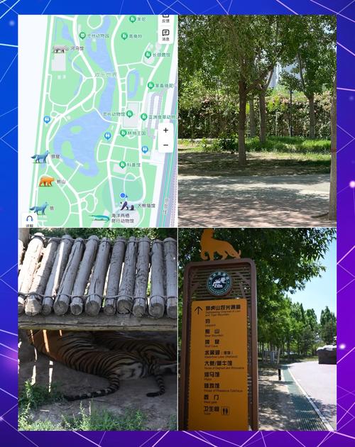 沧州一日游前十必去景点推荐(沧州动物园攻略)