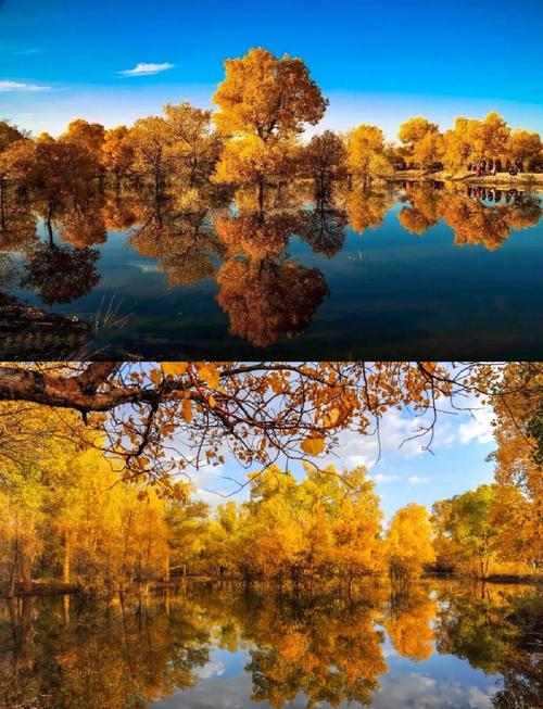 额济纳旗旅游景点有哪些