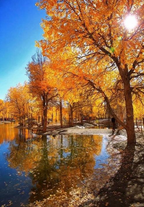 额济纳十个必去景点