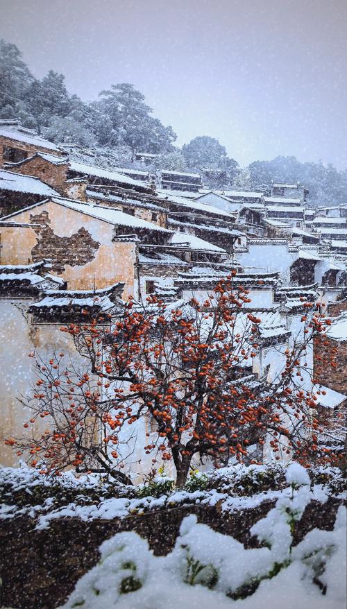 江西冬天最适合旅游的地方有哪些