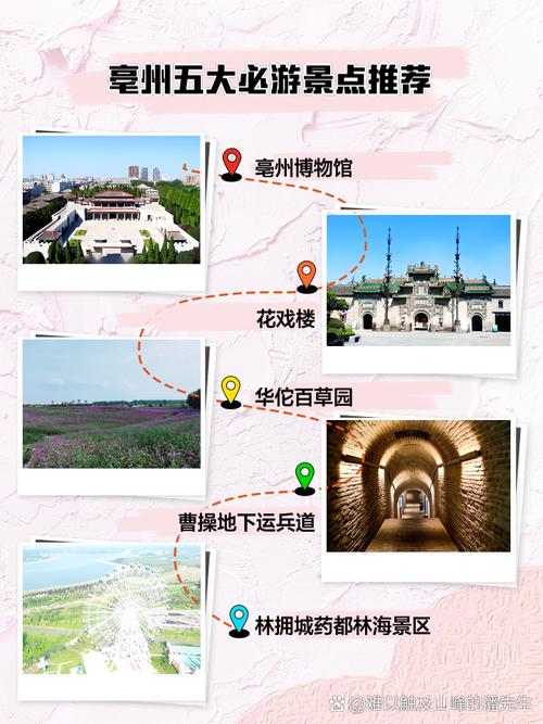 去亳州旅游,有什么实用的游玩攻略?